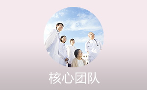 核心团队