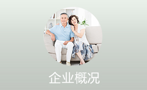 企业概况